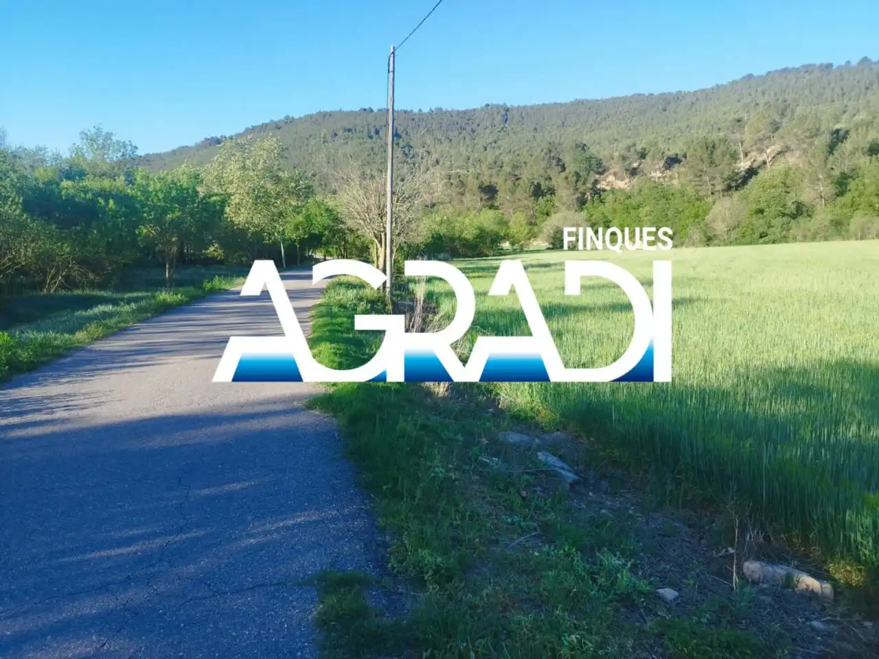 Terreny rústic en venda a Carretera Igualada, imagen 4