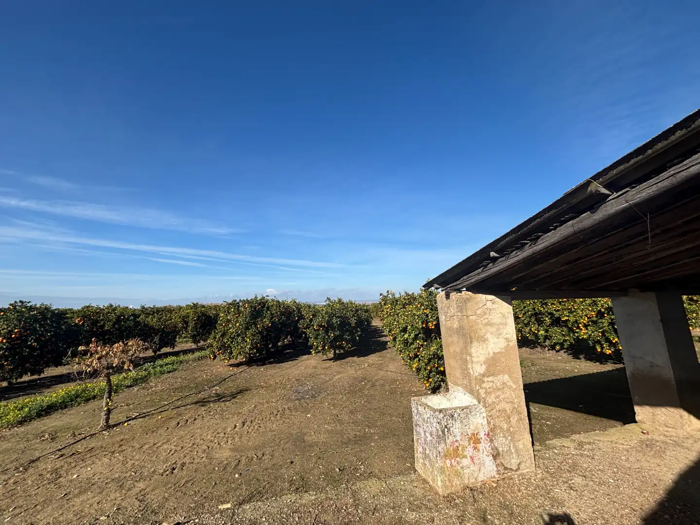 Exterior view of Land for sale in Sanlúcar la Mayor