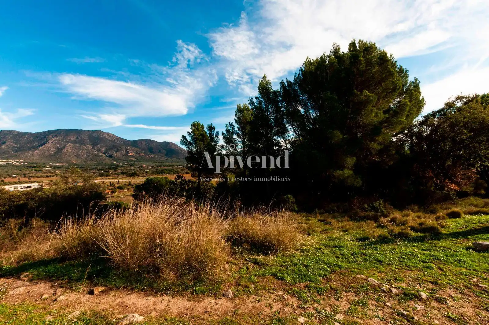 Rural land for sale in Molí de Vent, imagen 4