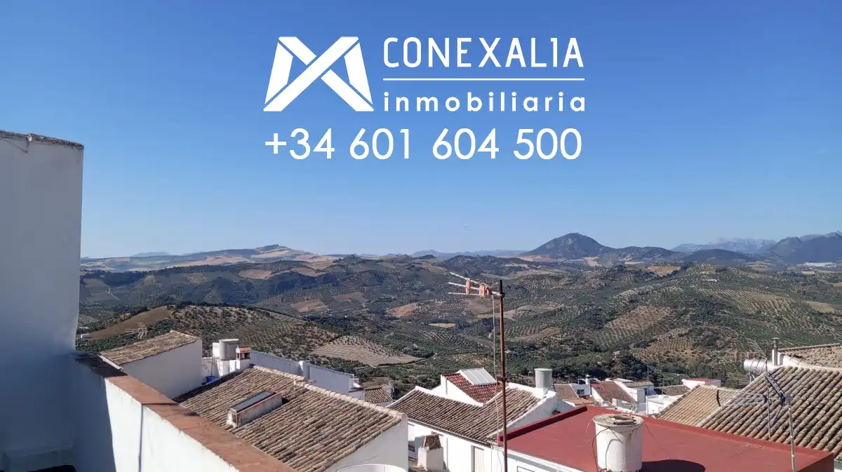 Vista exterior de Casa o chalet en venta en Olvera con Terraza y Balcón