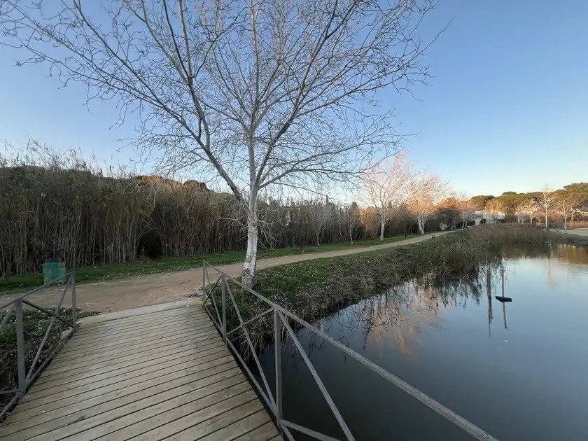 Vista exterior de Residencial en venda en L'Escala