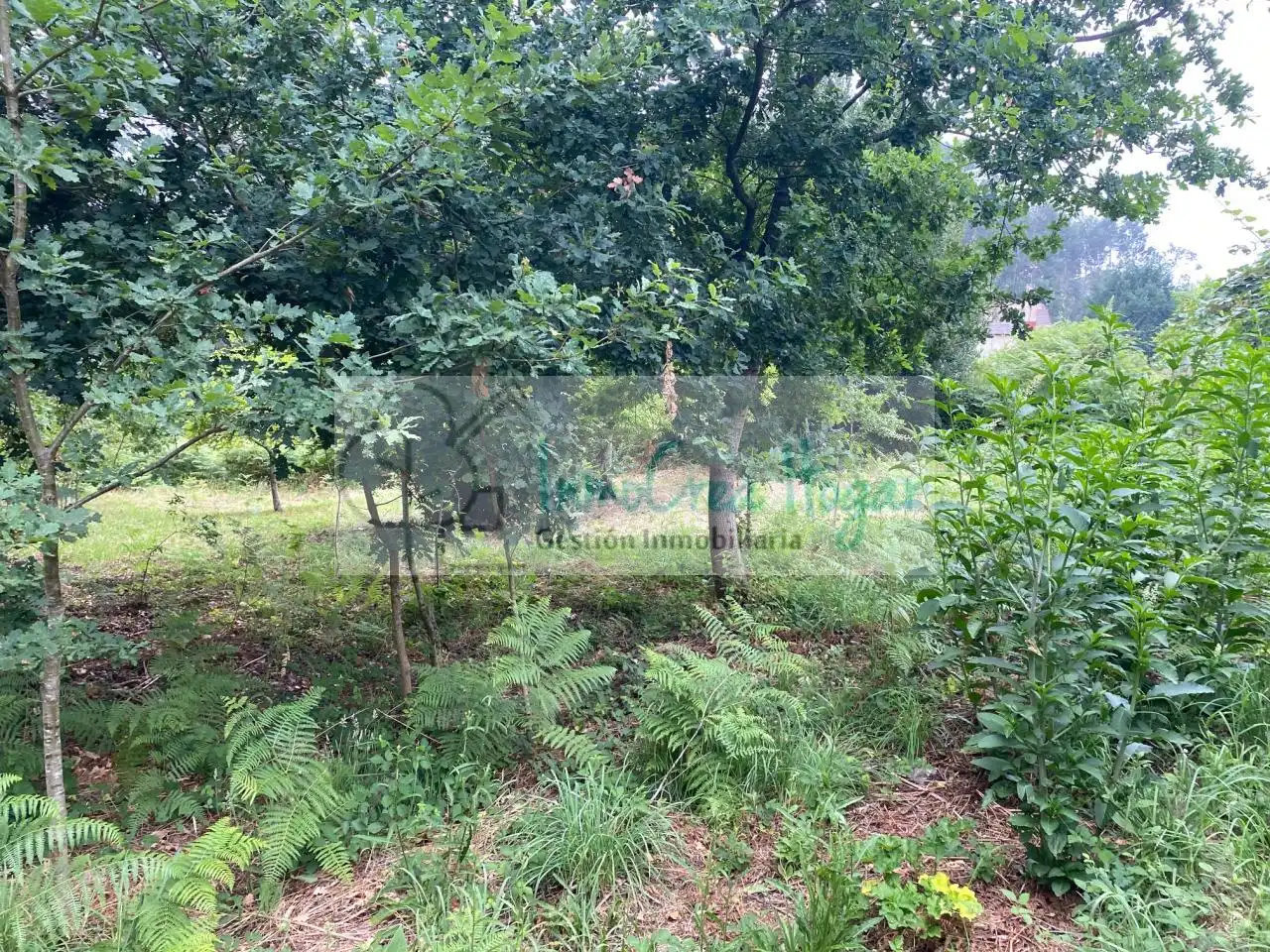 Grundstücke und Bauplätze zum Verkauf in Redondela, imagen 3