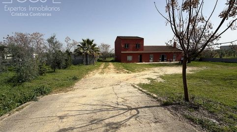 Foto 5 de Finca rústica en venda a Pilas, Sevilla