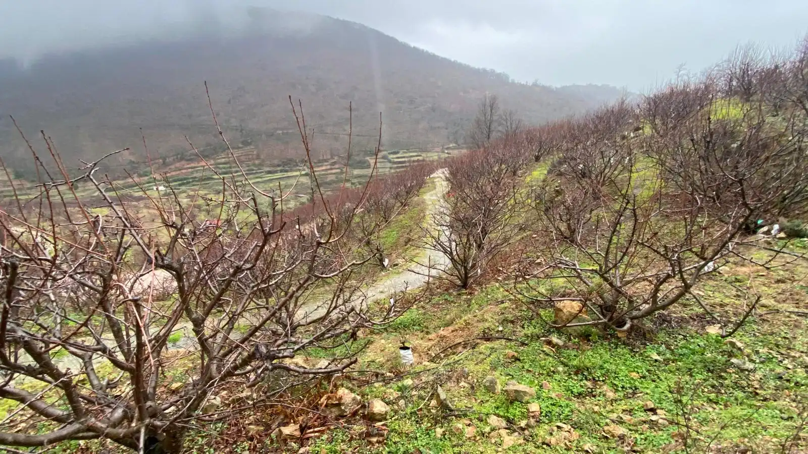 Terreni e lotti in vendita a Arroyomolinos de la Vera