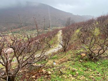 Terreny rústic en venda a Arroyomolinos de la Vera