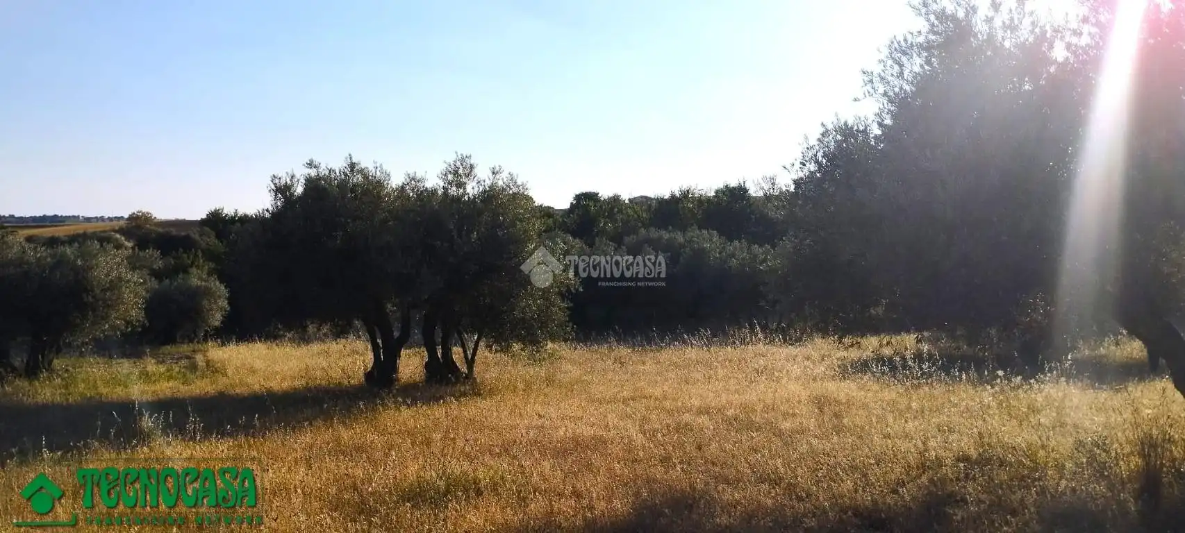 Terreni e lotti in vendita a Méntrida, imagen 2