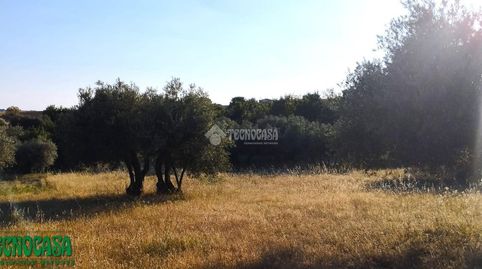 Terrenos en venta en Méntrida, immagine 2