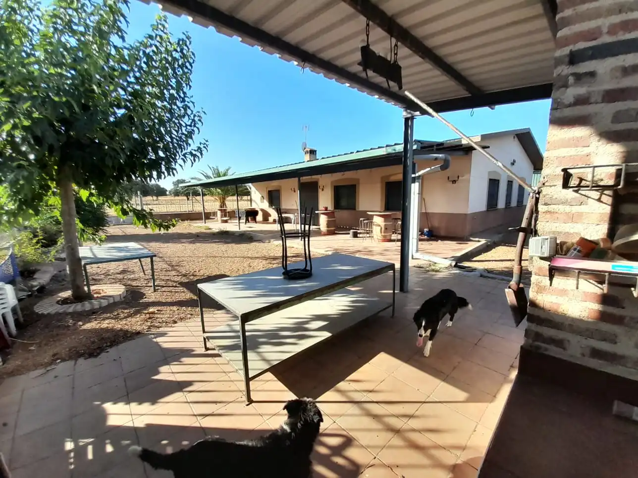 Vista exterior de Finca rústica en venda en Almodóvar del Campo amb Aire condicionat i Calefacció