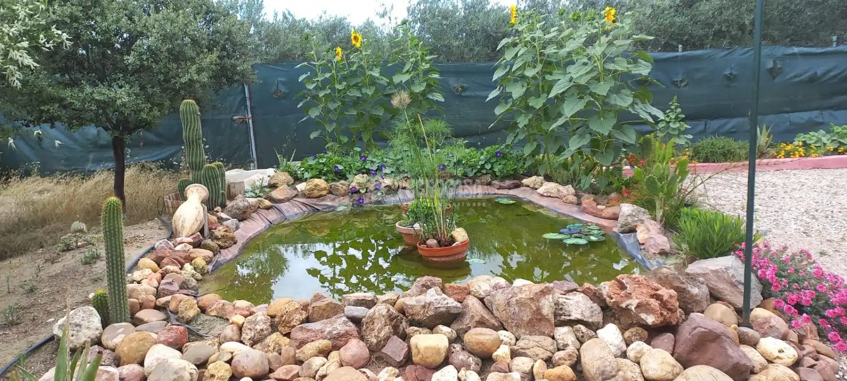 Finca rústica en venta en Camino del Asno, Pedro Abad