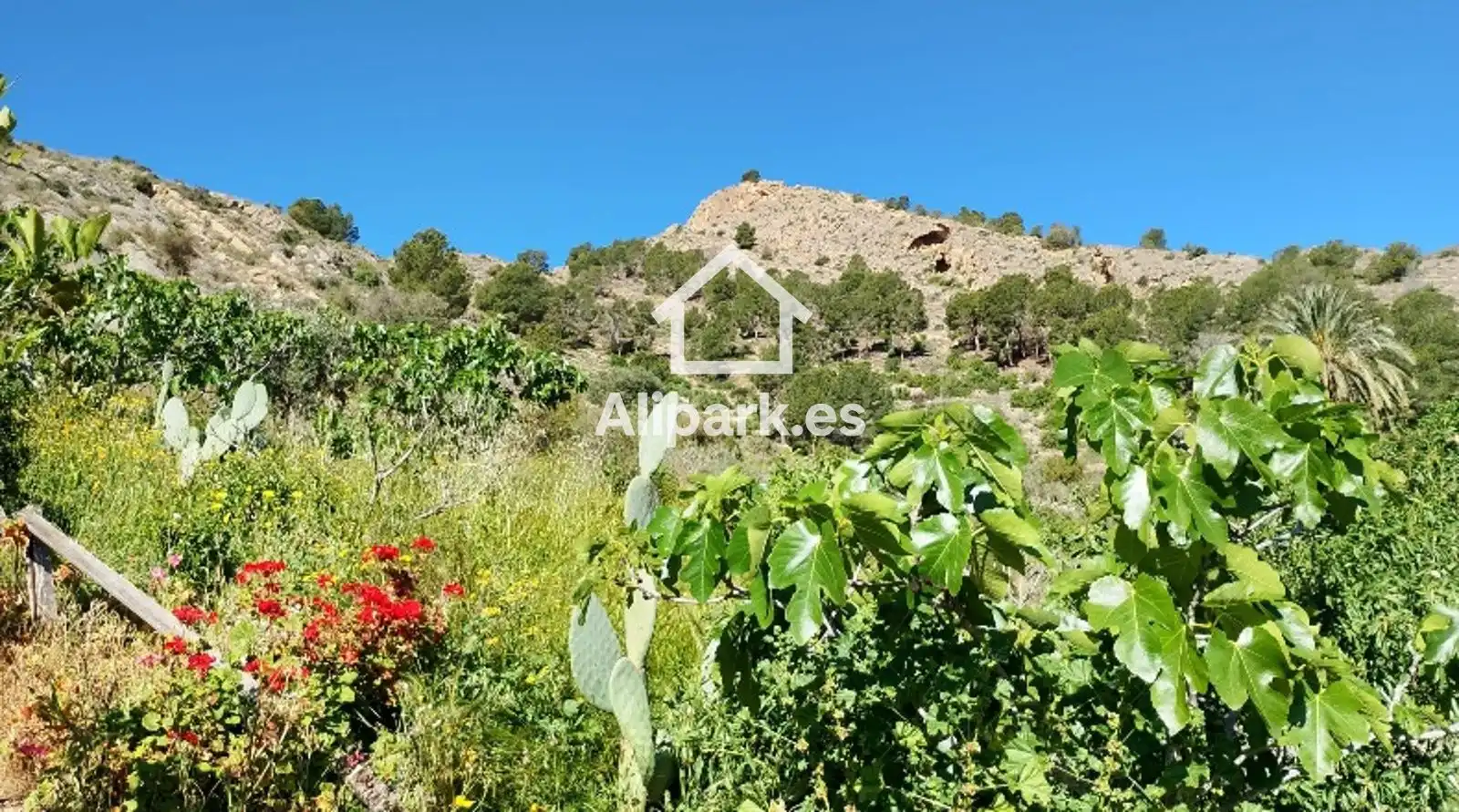 Casa adosada en venta en Orihuela