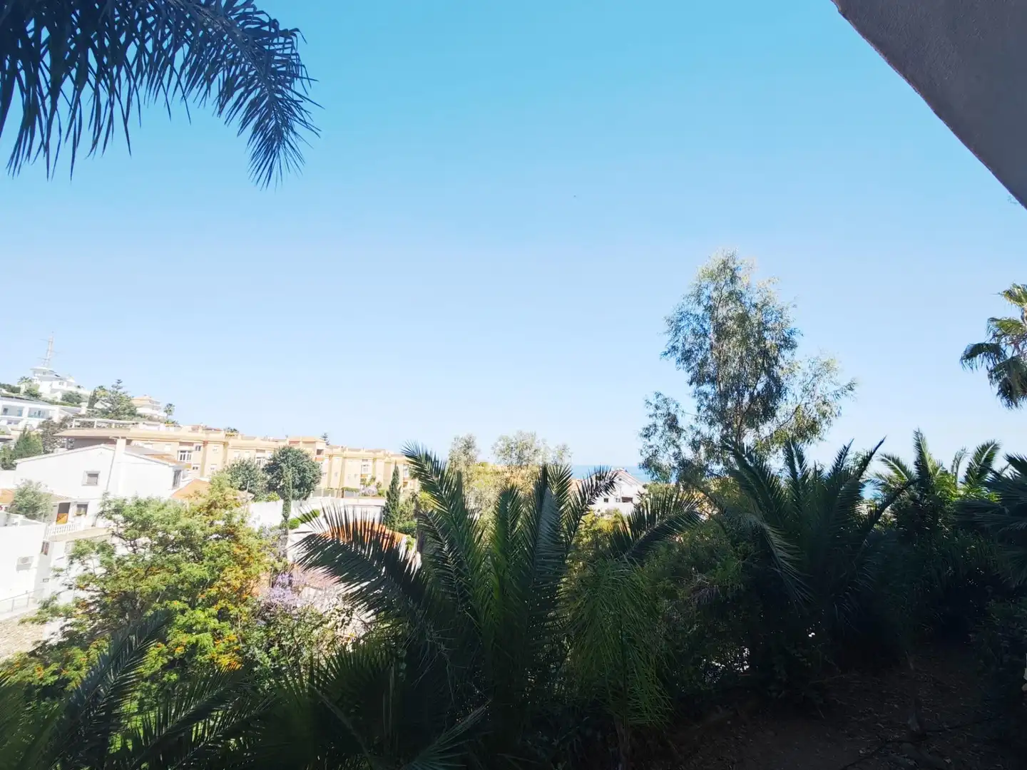 Jardín de Estudio de alquiler en Fuengirola con Aire acondicionado, Jardín privado y Terraza