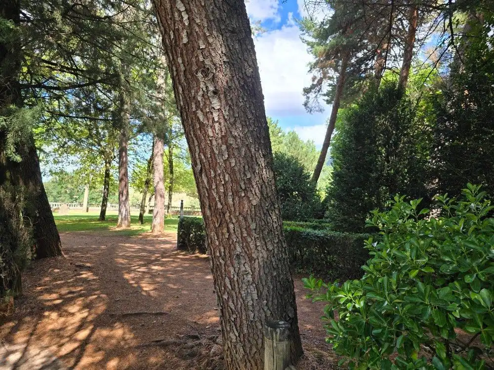 Garden of Commercial properties for rent in Jaca