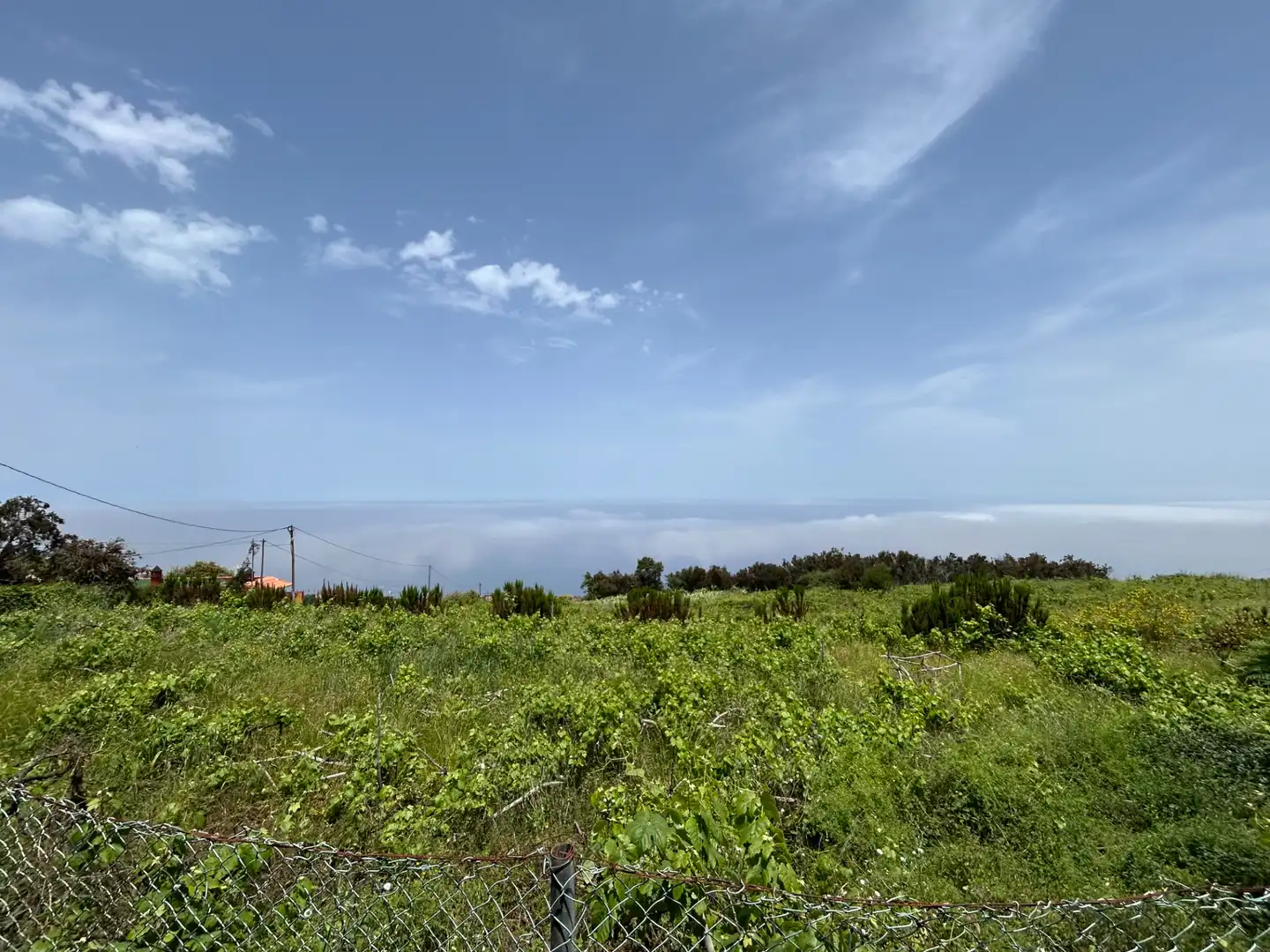 Residential for sale in Santa Úrsula