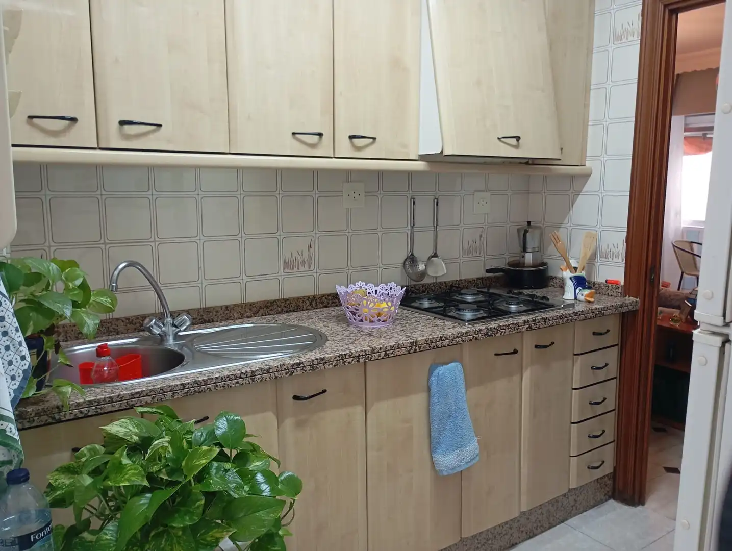 Kitchen of Flat for sale in Málaga  with Air Conditioner, Terrace and Furnished