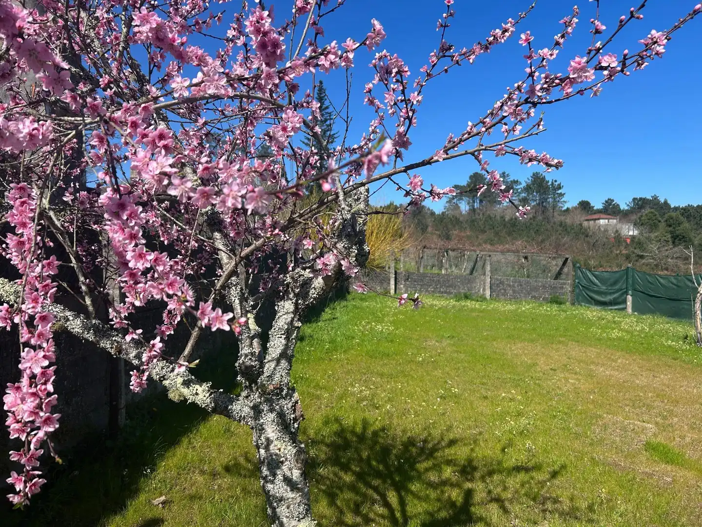 Jardín de Casa adosada en venta en Teo