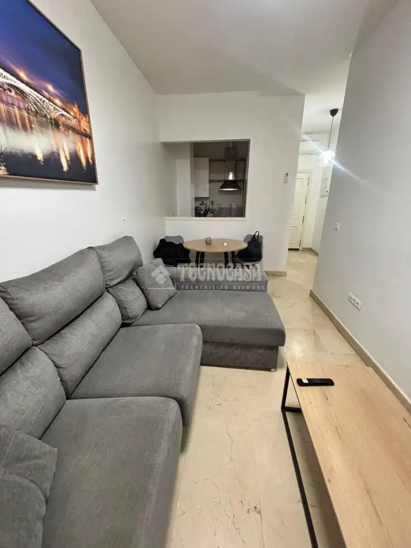 Sala de estar de Piso de alquiler en Sevilla con Aire acondicionado
