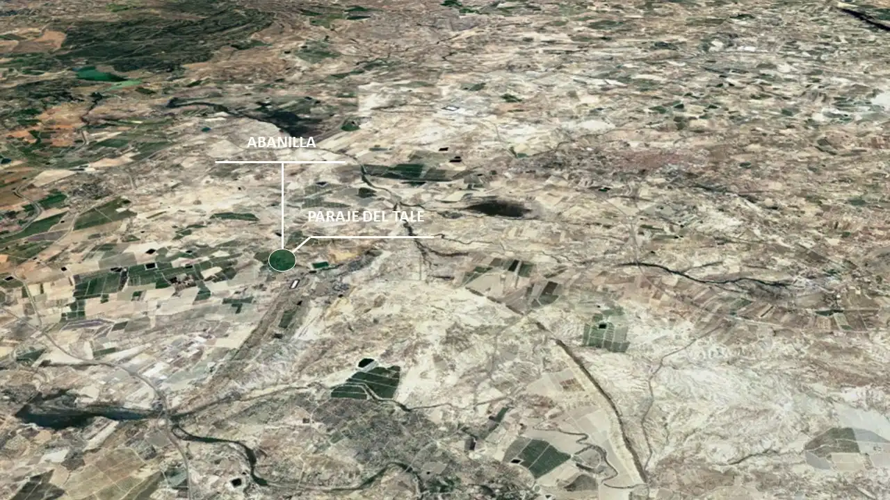 Lands and plots for sale in Paraje del Tale, imagen 3