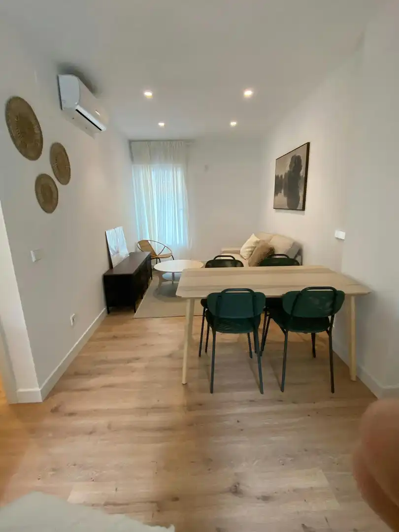 Sala d'estar de Pis de lloguer en Madrid amb Aire condicionat, Calefacció i Moblat
