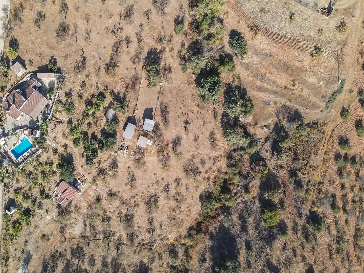 Casa con piscina en venta en Avenida de Andalucía, imagen 5