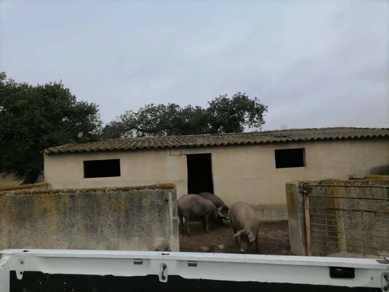 Terreno en venta en Poligono 1, La Alameda de Gardón