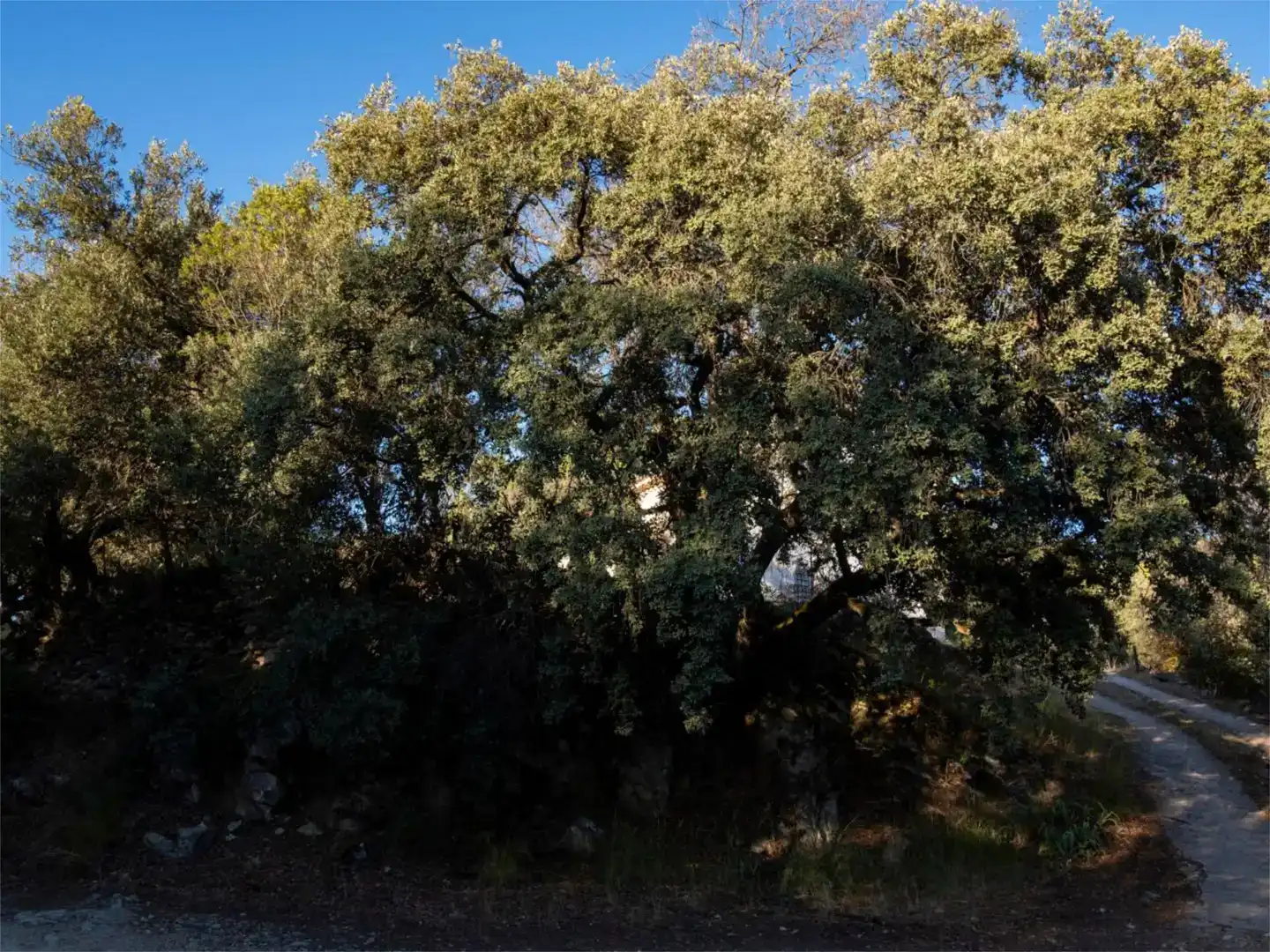 Casa o chalet en venta en Santo Tomé