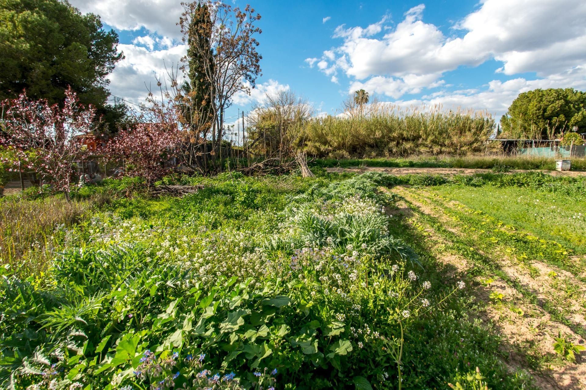 Country house for sale in  Murcia Capital