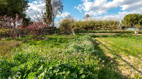 Foto 2 de Finca rústica en venda a Camino Senda Granada, 104, Guadalupe, Murcia