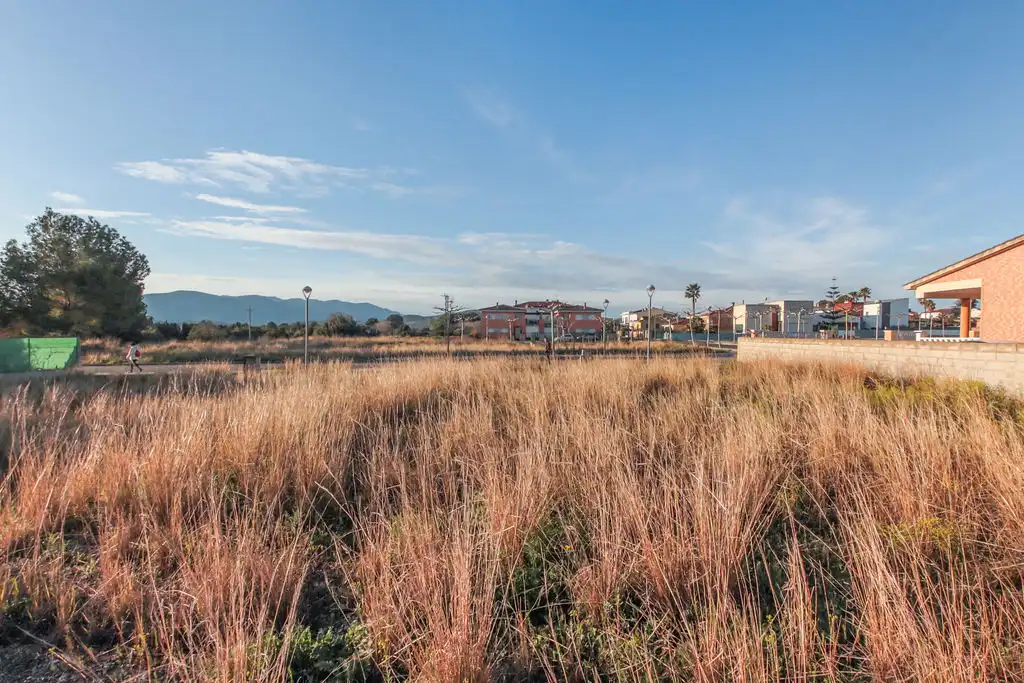 Terreno rustico in vendita a Ps De La Generalitat, imagen 21