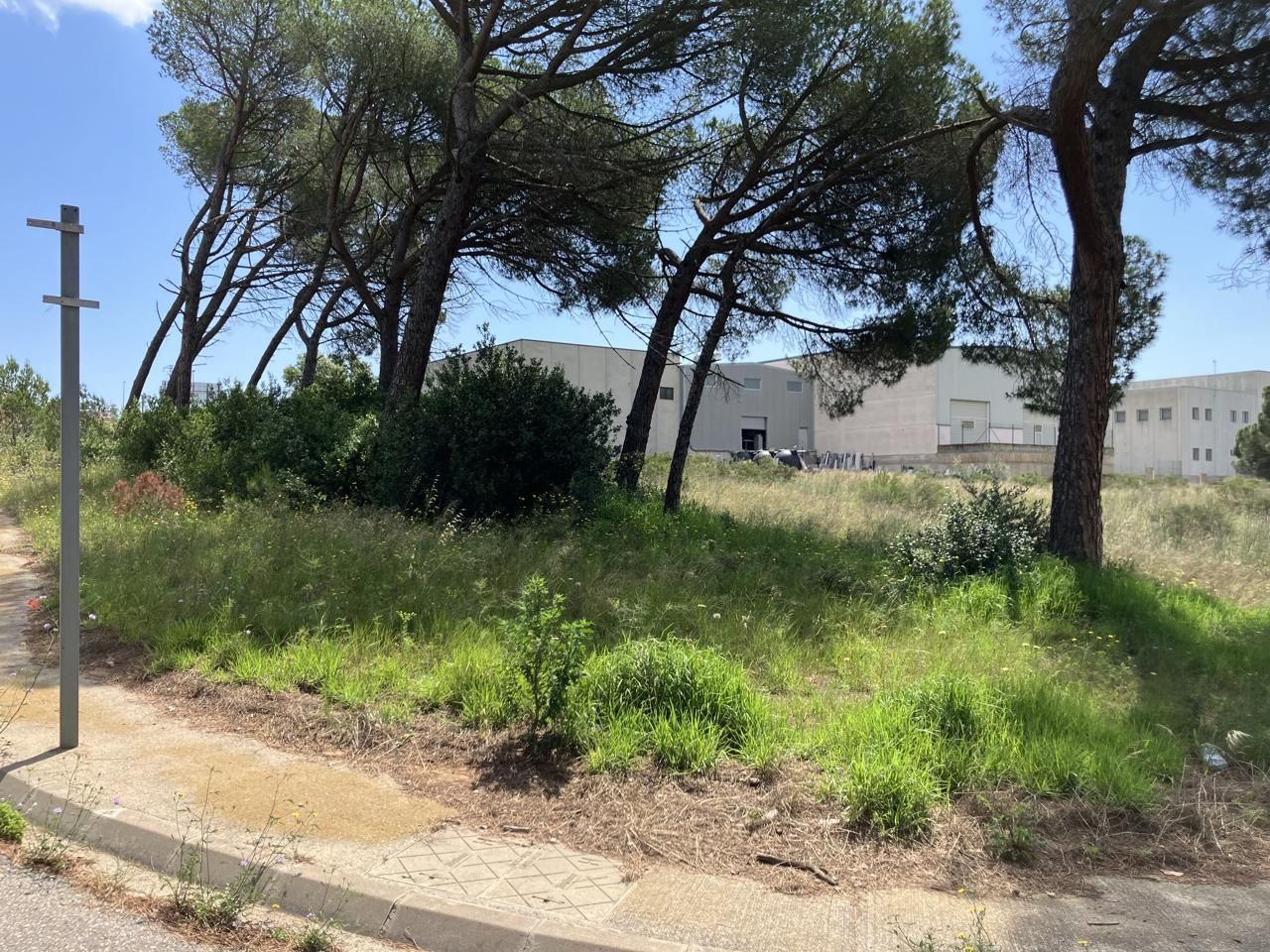 Terreny industrial en venda en L'Escala