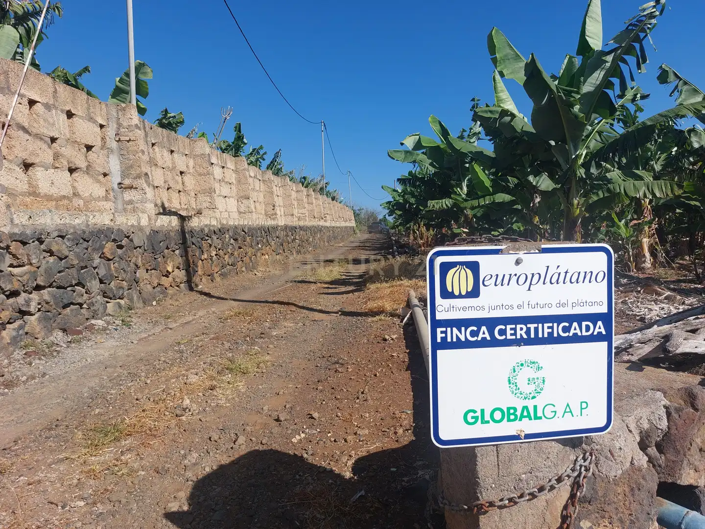 Land for sale in San Cristóbal de la Laguna