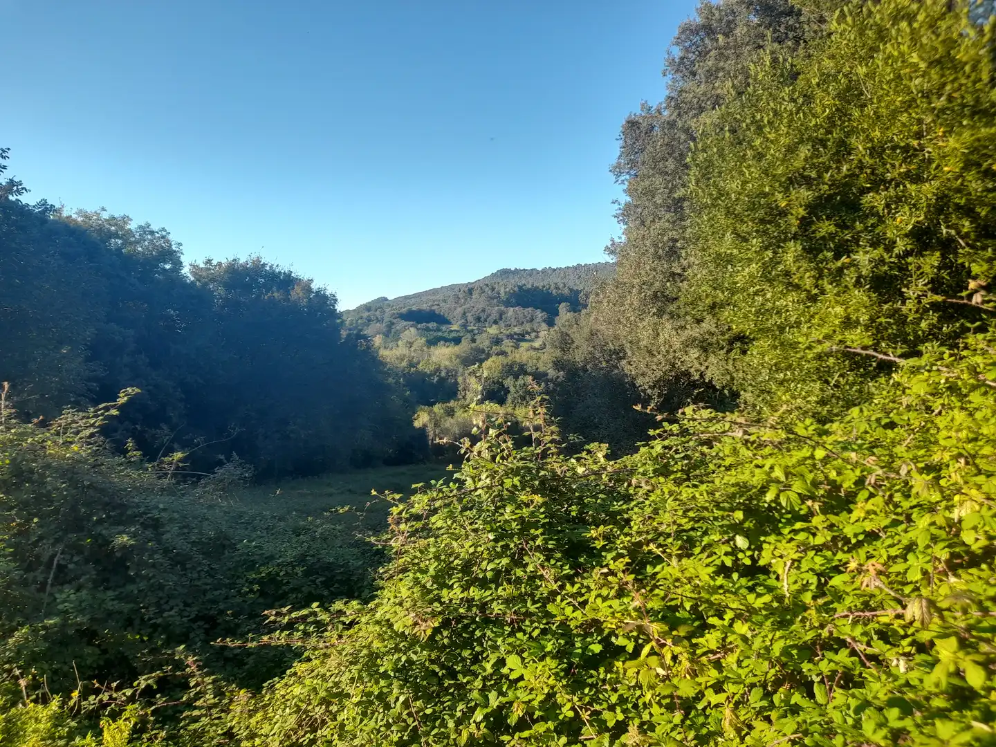 Terreny rústic en venda a Lemoiz, imagen 3