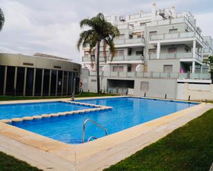 Swimming pool of Duplex for sale in Oliva  with Air Conditioner, Heating and Private garden