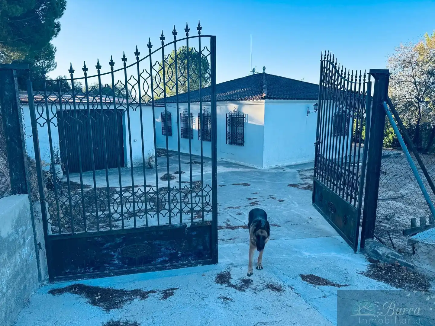 Villa mit Pool zum Verkauf in Rute, imagen 17