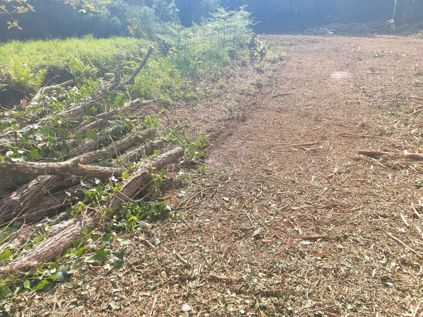 Terreni e lotti in vendita a Mugardos, imagen 6