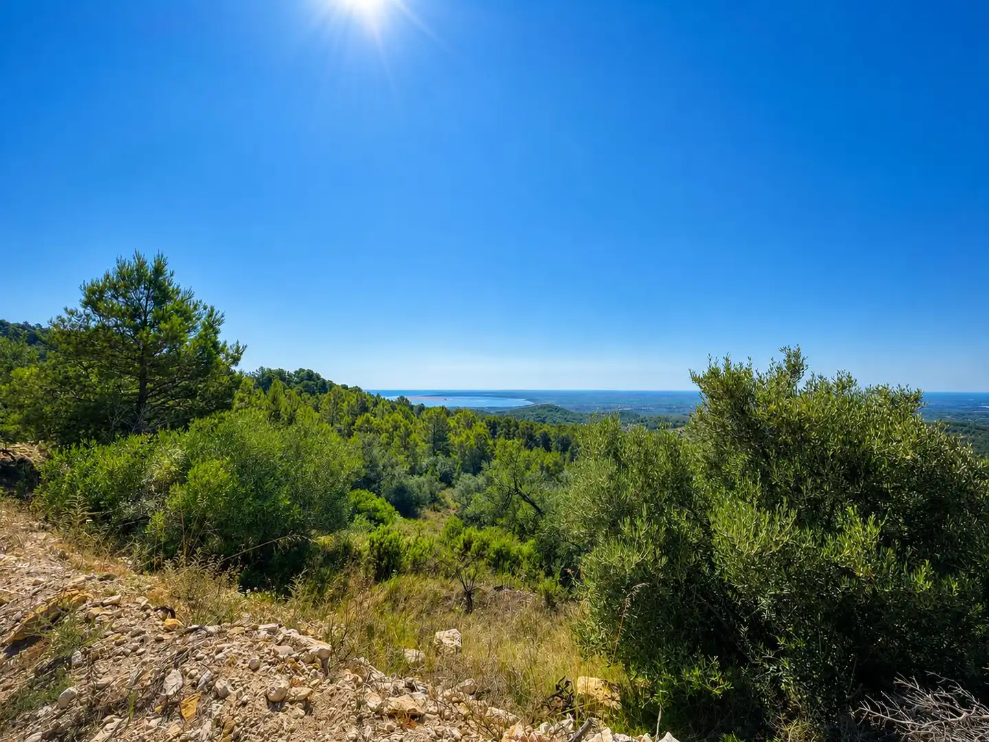 Maison rustique à vendre à El Perelló, imagen 26