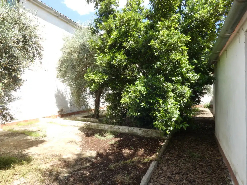 Maison à vendre à Azuaga, imagen 2