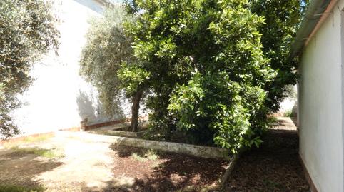 Foto 2 de Casa o chalet en venta en Azuaga, Badajoz