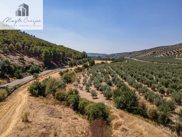 Terreno en Venta en Deifontes