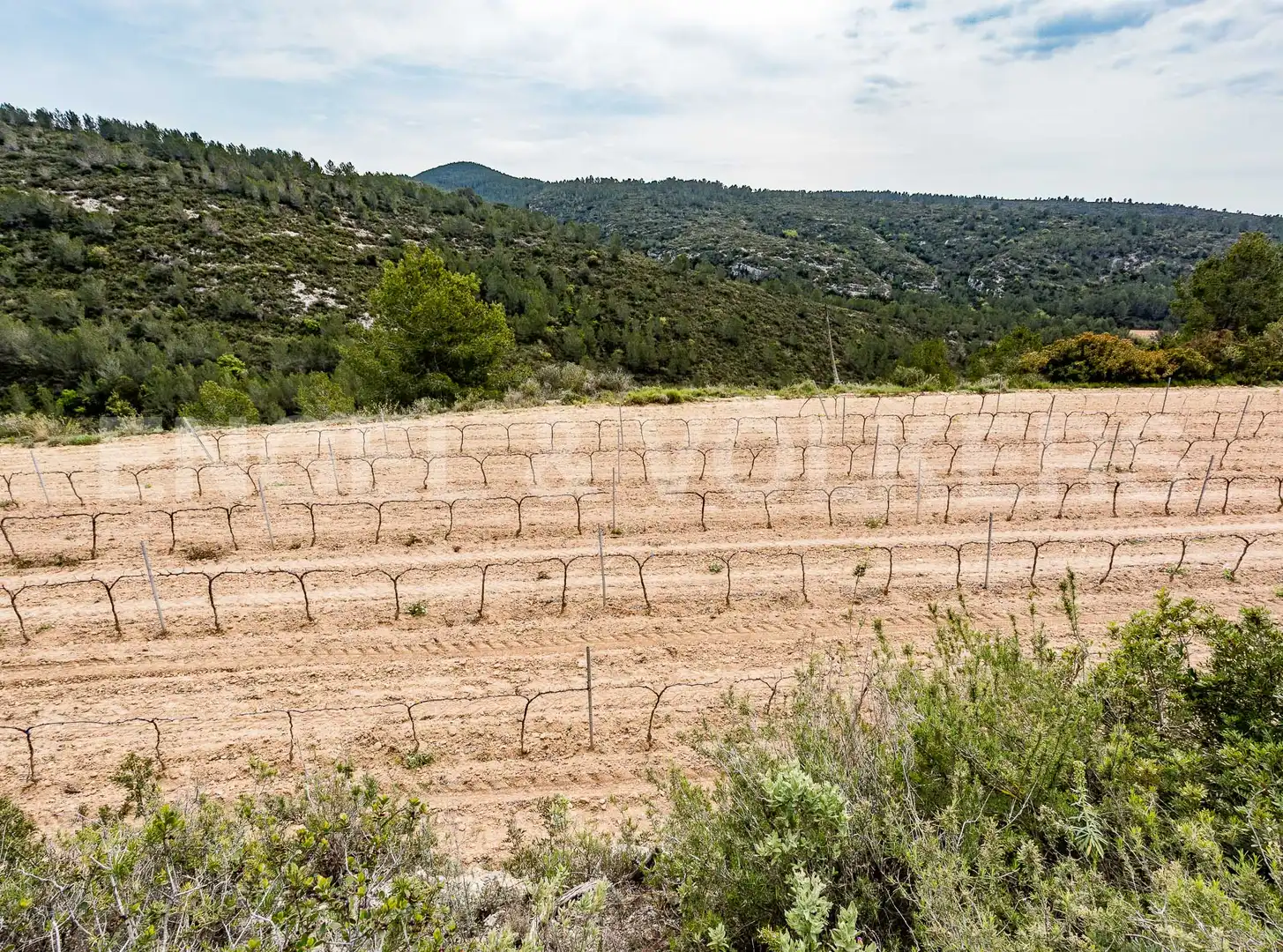 Casa o xalet en venda en Castellet i la Gornal amb Aire condicionat, Calefacció i Jardí privat