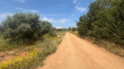 Photo 5 of Residential for sale in El Palmar, Vejer de la Frontera