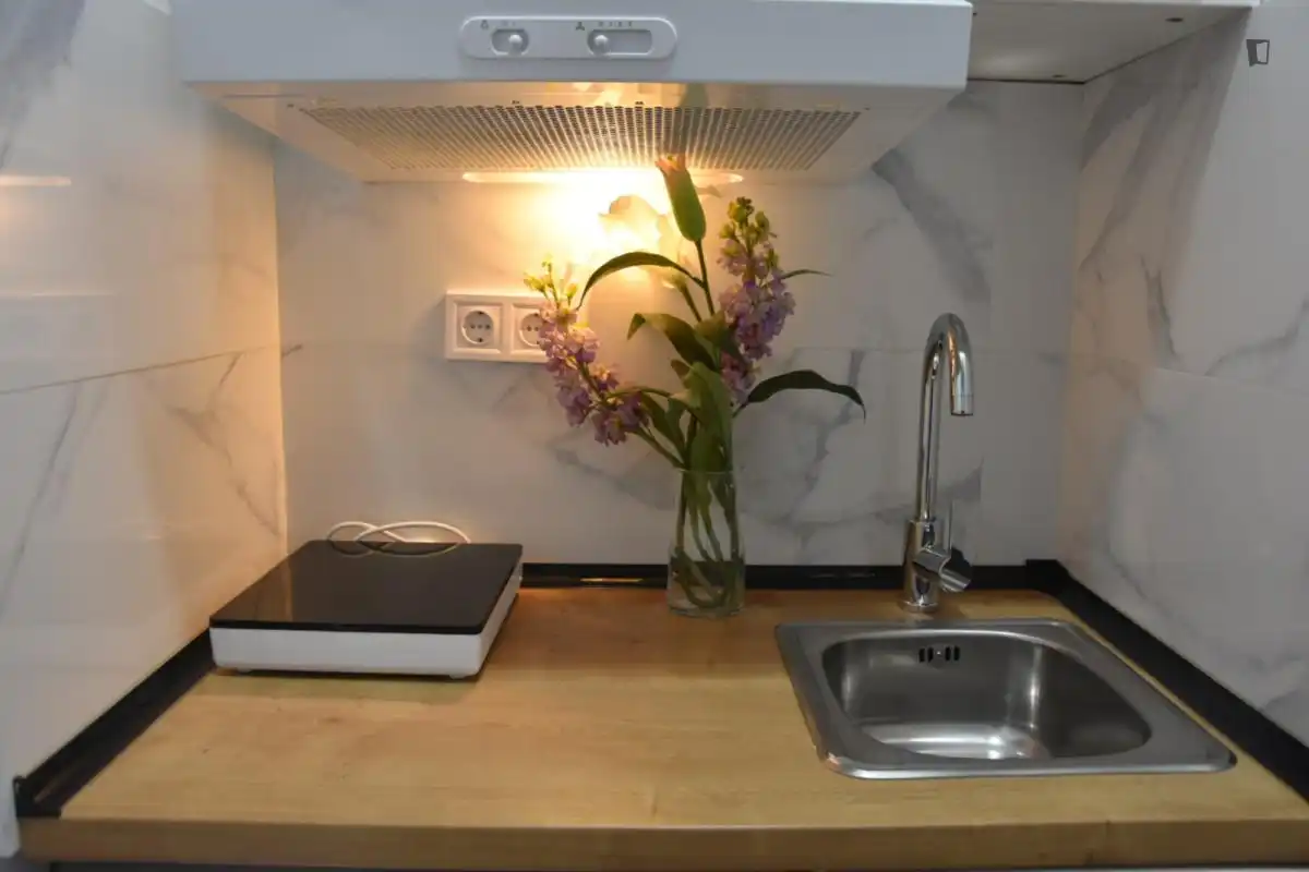 Studio zur Miete in Centro, imagen 4