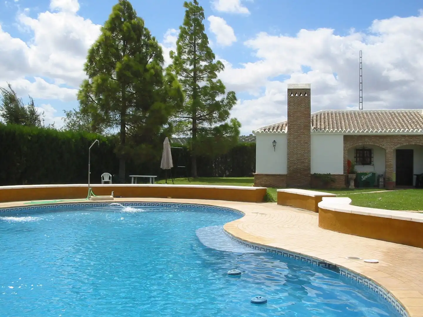 Swimming pool of Country homes for sale in Marchena  with Terrace and Swimming Pool