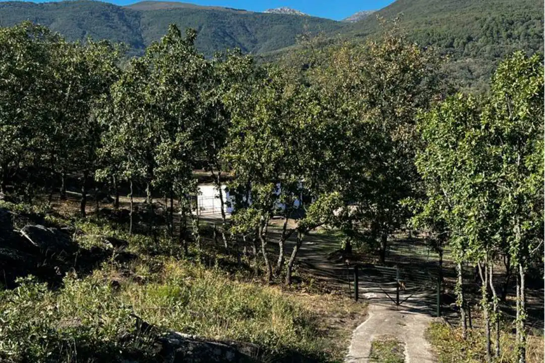Terreni e lotti in vendita a Hervencias, imagen 7