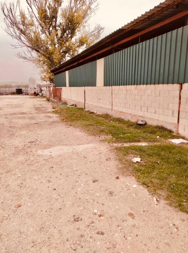 Terreno en venta en Valdetorres de Jarama