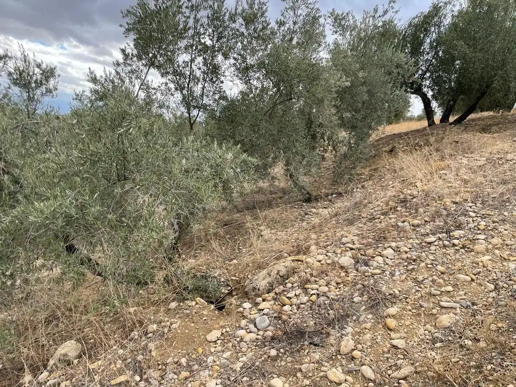 Land for sale in San Ildefonso - Catedral