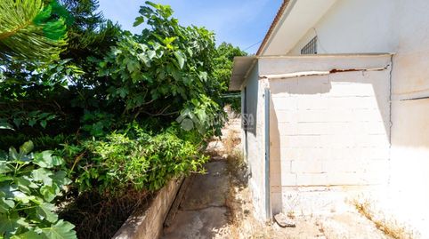 Foto 4 de Finca rústica en venda a Iznate, Málaga