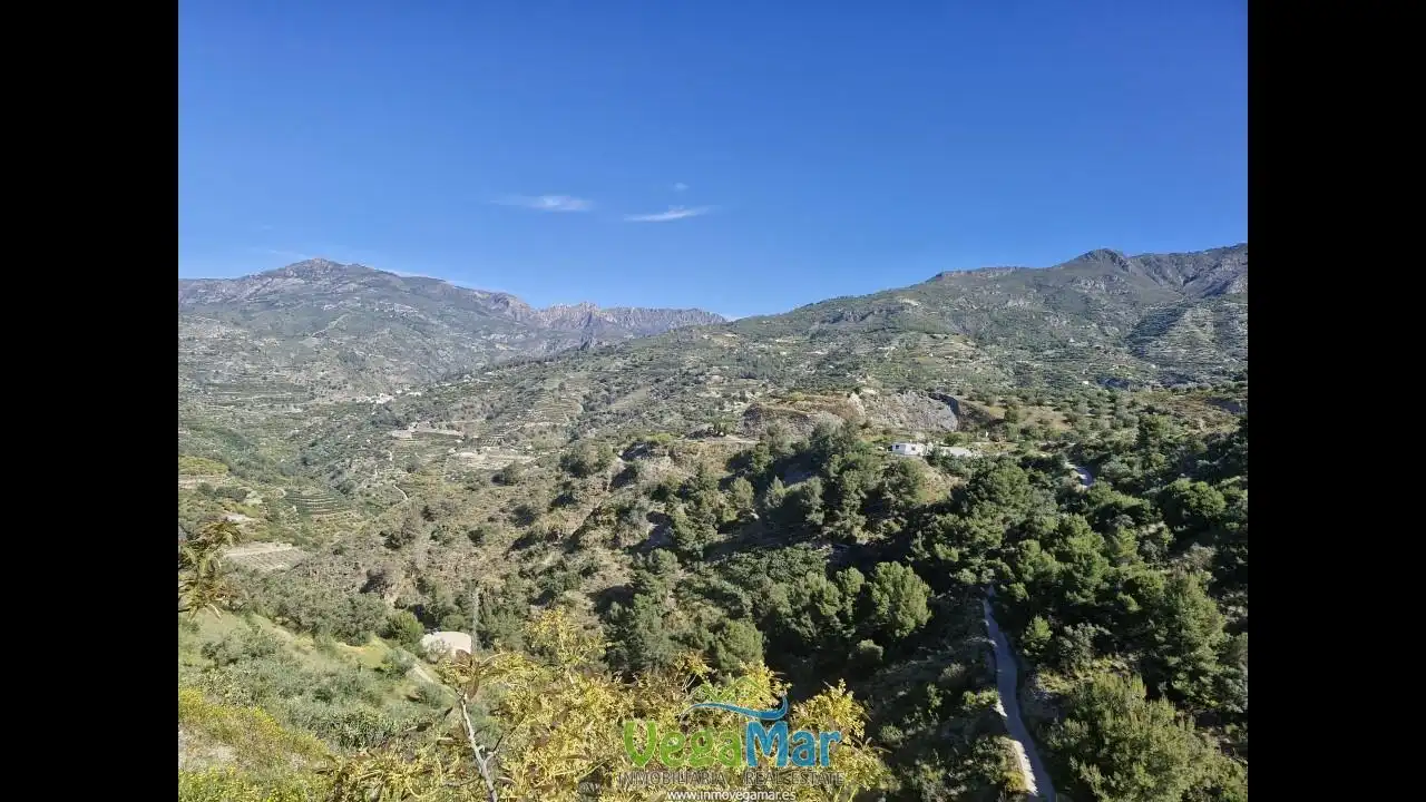 Terreny rústic en venda a Barranco de la Fifa, imagen 17
