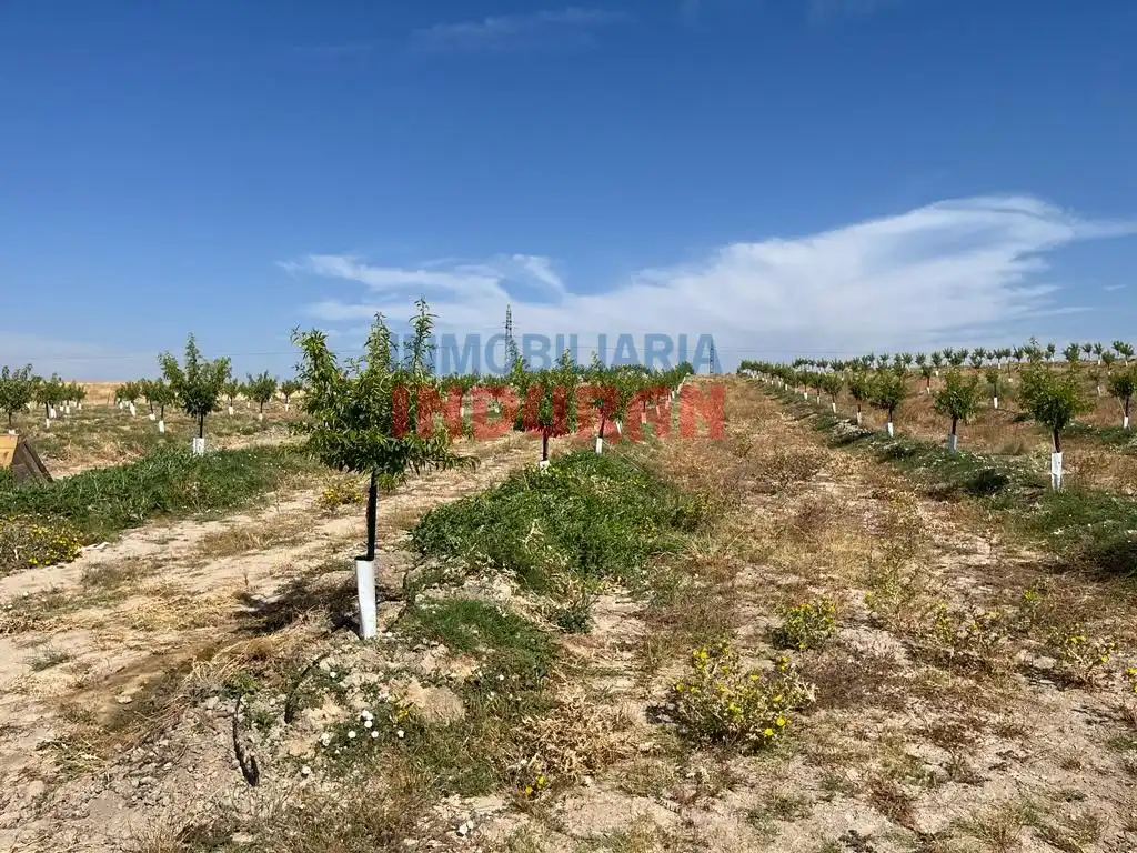 Casa rústica en venda a Belvís de Monroy, imagen 7