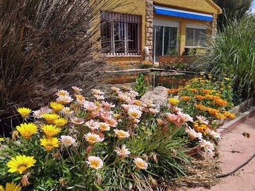 Casa rústica con piscina en venta en San Antonio Abad