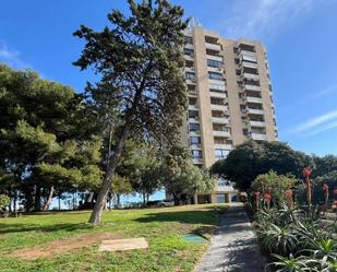 Vista exterior de Estudi de lloguer en Marbella amb Aire condicionat i Piscina comunitària